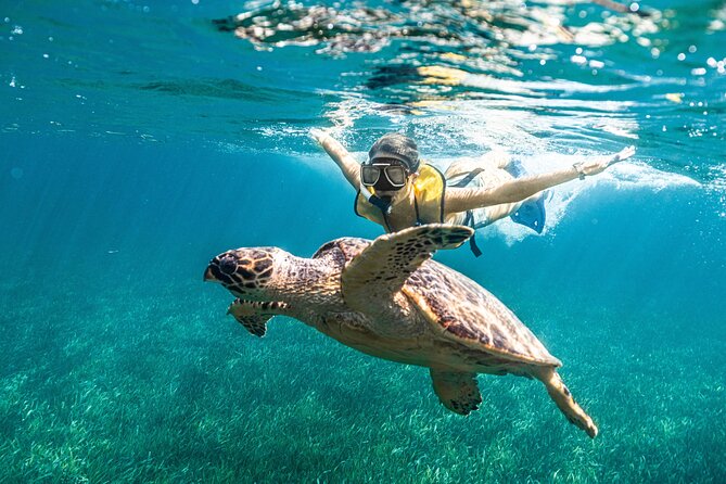 2 in 1 Parasail Cancun and Jet ski - What to bring and what to watch