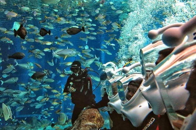 Bali Best Watersport Sea walker,Parasailing adventure,Jet sky - Jet Ski: a fast 15-minute start