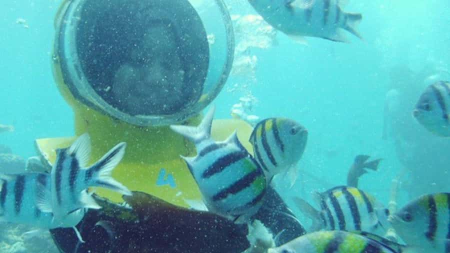 Bali: Sea Walk, Solo Jetski and Parasailing with Pickup - Walking beneath Bali’s coastal water