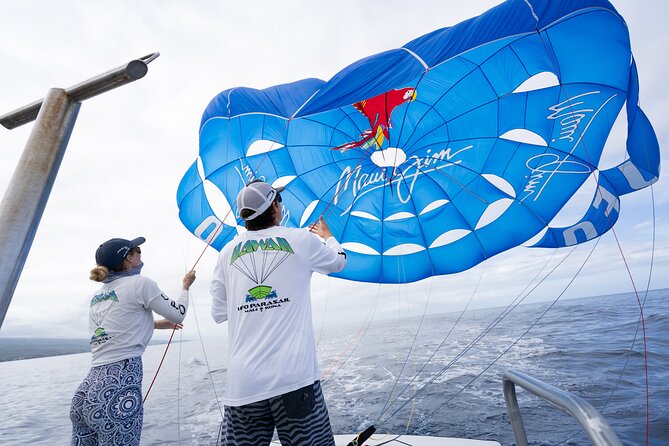 Big Island Parasailing Experience - Choosing between single, tandem, and triple flights