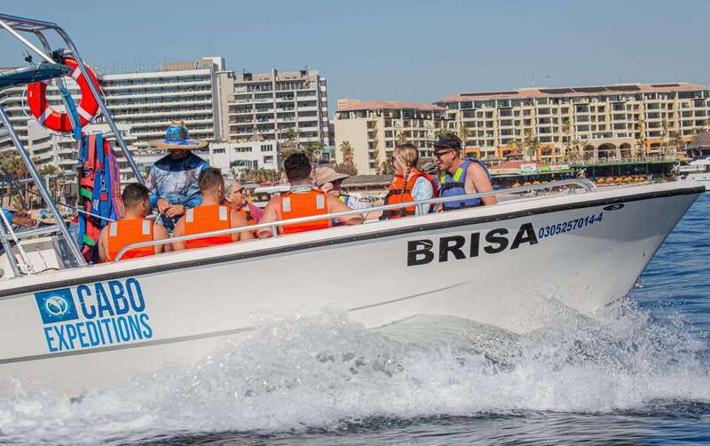 Cabo San Lucas: Parasailing Experience - How safe and easy is it for beginners?