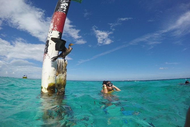Cancun Adventure: Reef Snorkeling & Parasailing Experience - MUSA, the underwater museum