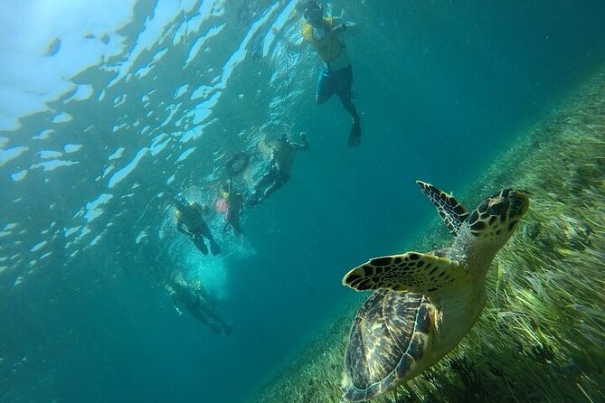 Cancun Combo Adventure: 4 Reef Snorkeling Stops & Parasailing - What the guide and safety setup mean for you
