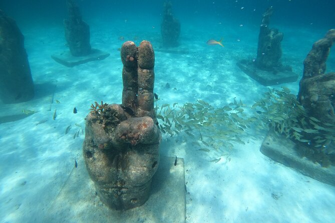 Cancun Fly and Swim Parasailing and Snorkeling Combo Tour - Should you book the Fly and Swim combo?