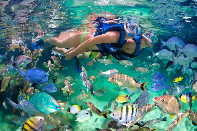 Catamaran Cruise with Snorkeling & Parasailing - Who will enjoy this boat party most?