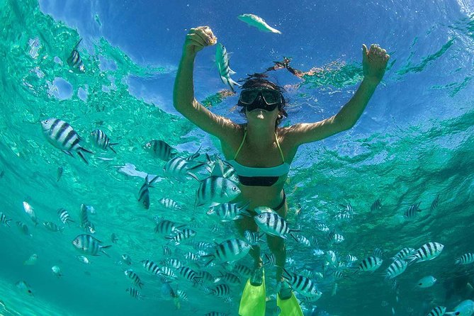 Catamaran to Ile aux Cerf with Parasailing, Tube Riding & Lunch - Grand River South East Waterfall by Speedboat