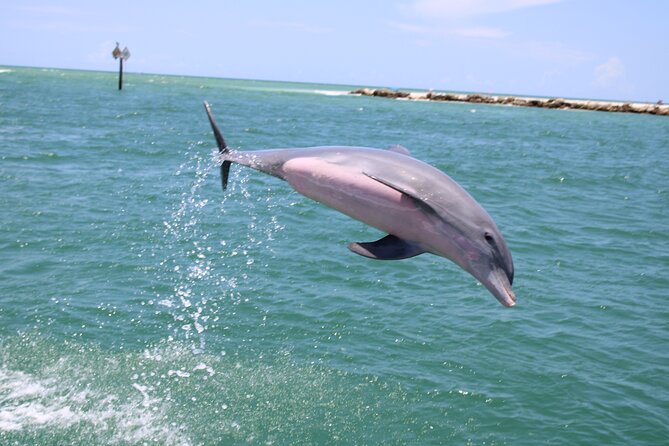 Experience Parasailing in Sarasota - Who should book this experience