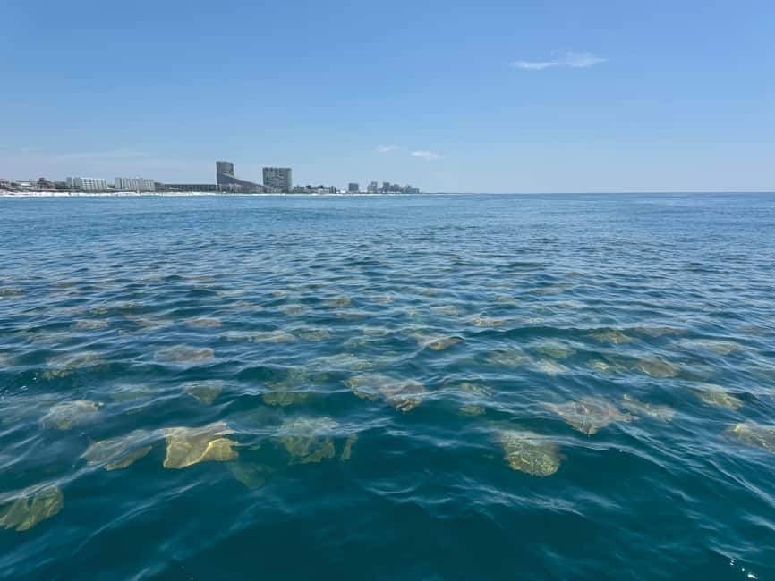 Fort Lauderdale: Parasailing on Fort Lauderdale Beach - The Intracoastal cruise and the waterfront homes
