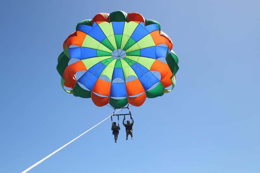 Gold Coast: Surfers Parasailing with Free Photos - Wildlife, water views, and the Gold Coast from above