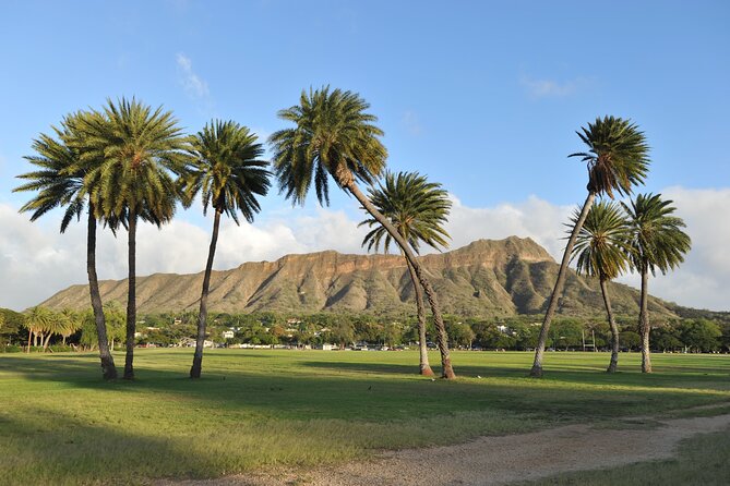 Half-day Tour in Diamond Head Sunrise and Parasail - Who will enjoy this morning most?