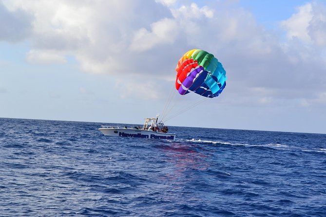 Hawaiian Parasail Since 1977 - Watching Dolphins, Turtles, and Winter Whales