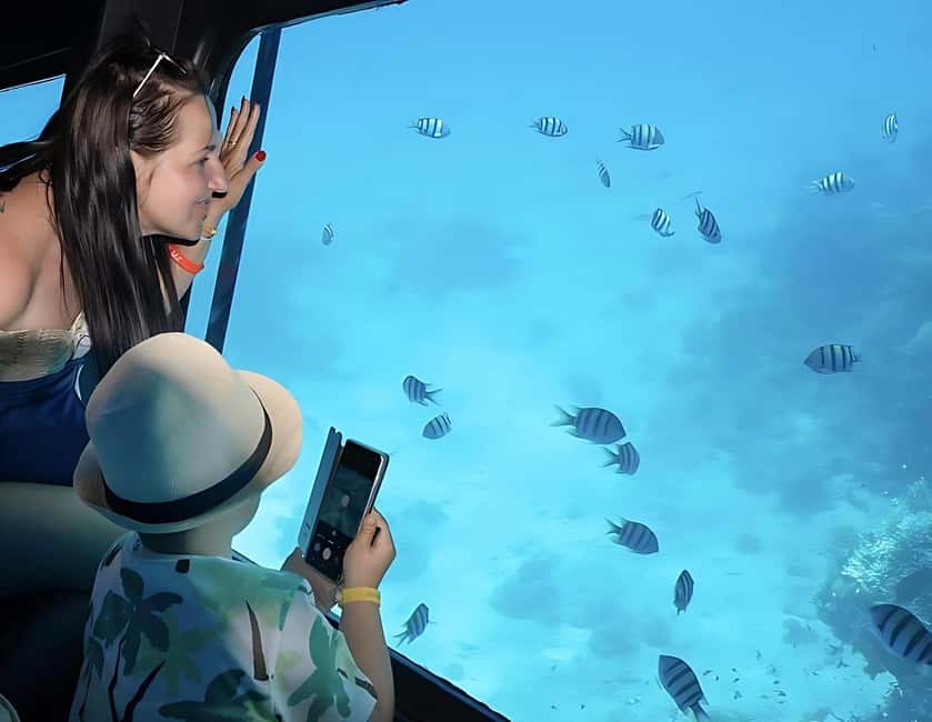 Hurghada: Glass Boat & Snorkeling with Optional Parasailing - A glass-bottom view of Hurghada’s coral reefs