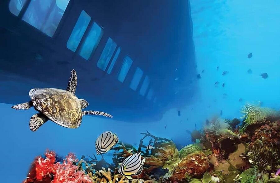 Hurghada: Glass Boat & Snorkeling with Optional Parasailing - Hotel transfers from Hurghada and nearby resorts