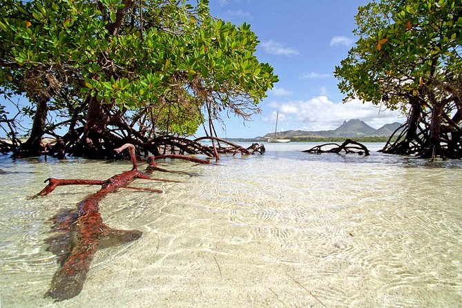 Marvelous Ile aux Cerf island: Speed Boat, Parasailing, Lunch & GRSE waterfall - A Fast Start from Trou d’Eau Douce