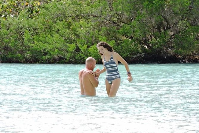 Marvelous Ile aux Cerf island: Speed Boat, Parasailing, Lunch & GRSE waterfall - Practical Advice Before You Go