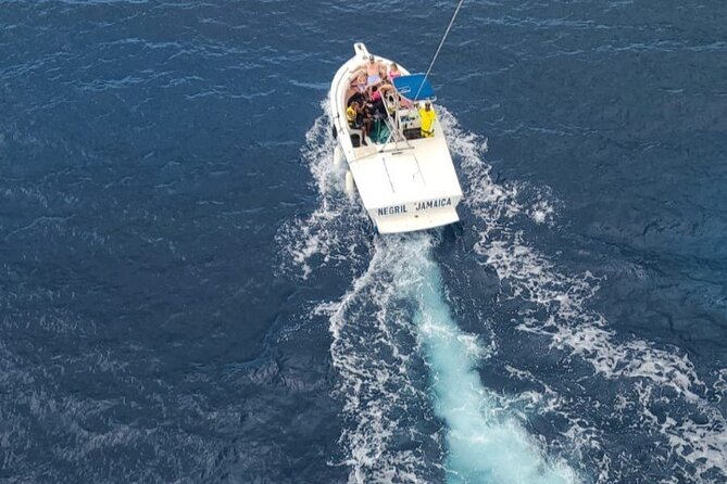 Negrils Seven Miles Beach, Rick's cafe and Parasailing Tour. - What the guides add to the day