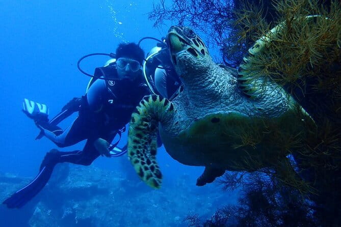 Nusa Dua Marine Jet Ski and Parasailing Adventure with Hotel Pick up - Booking and Cancellation Advice