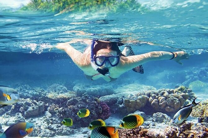 Orange Bay Island Snorkeling Trip with Parasailing - Hurghada - Orange Bay Island and its two-hour beach break