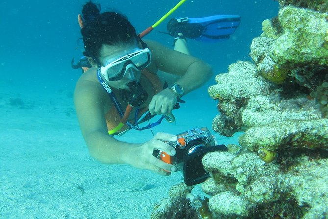 PACKAGE DEAL Catamaran- Snorkeling - Hooka Diving - Parasailing - Who should book this cruise?