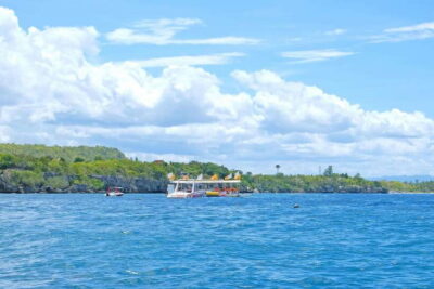 Panglao: Solo or Tandem Parasailing Experience near Alona