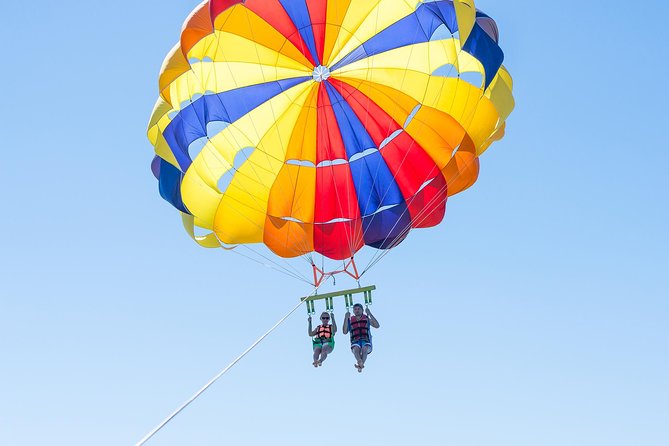 Parasailing Adventure in South Padre Island - Dolphins, pelicans, and the chance to spot wildlife