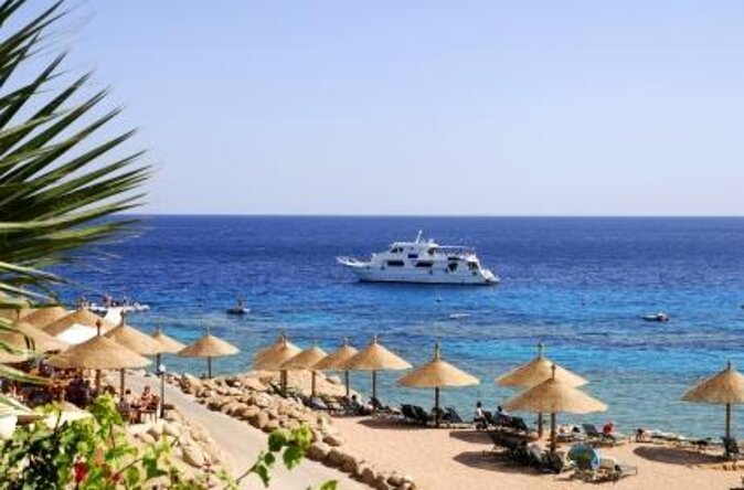 Parasailing Adventure On Marine Try Fly - Sharm El Sheikh - What the Naama Bay flight is really like