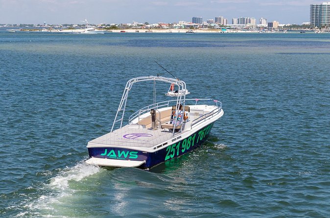 Parasailing Gulf Coast in Alabama - Deciding on the $40 photo package