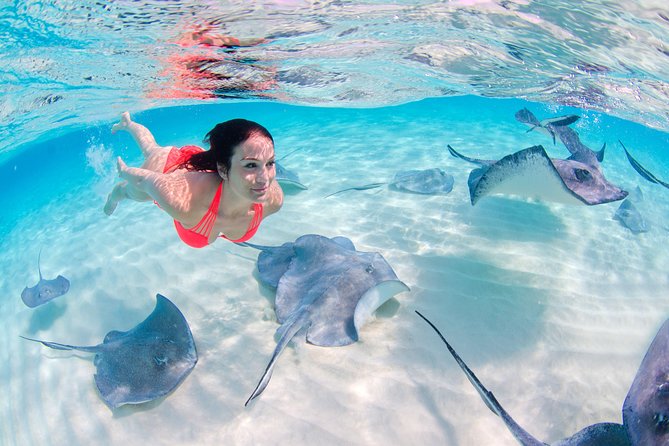 Parasailing, Snorkel Cruise & Virgen Beach from Punta Cana - The party boat: music, drinks, and a water slide