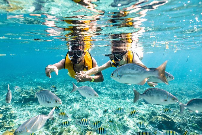 Parasailingcancun and Jet Ski tour over Cancun Bay - Weather, comfort, and safety