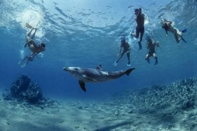 Private Speedboat To Dolphin House With Parasailing - Hurghada - Parasailing adds a second kind of sea view