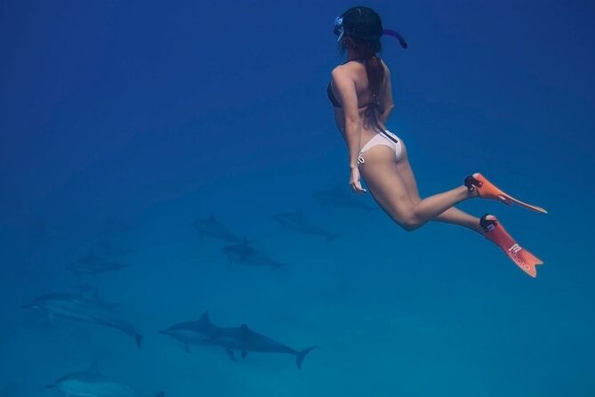 Private Speedboat To Dolphin House With Parasailing - Hurghada - Who will enjoy this Hurghada excursion most