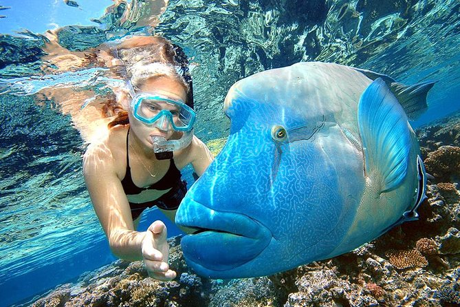 Punta Cana Combo Tour: Snorkeling, Catamaran Cruise & Parasailing - At a glance