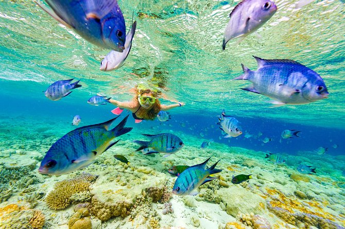 Punta Cana Parasailing & Snorkeling Cruise Experience - At a glance