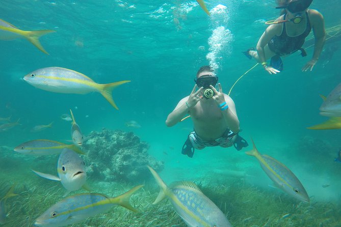 Punta Cana Party Cruise with Snorkeling, Hooka Diving and Parasailing - Parasailing over the coast