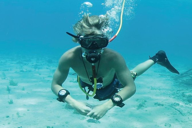 Punta Cana Party Cruise with Snorkeling, Hooka Diving and Parasailing - What $140 buys you