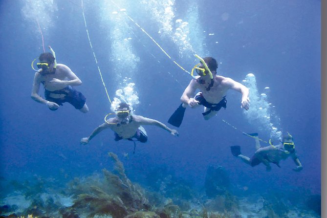 Punta Cana Party Cruise with Snorkeling, Hooka Diving and Parasailing - Comfort, crowding, and safety considerations