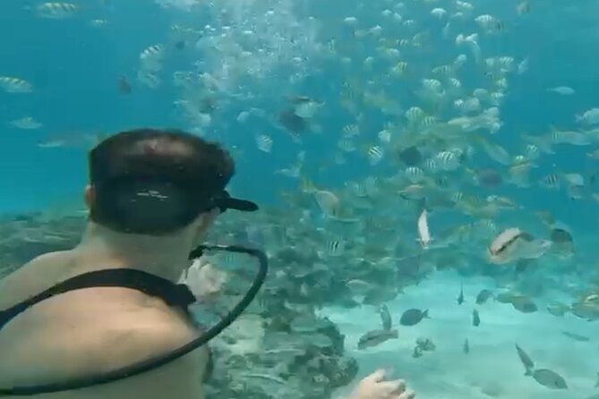 Punta Cana Party Cruise with Snorkeling, Hooka Diving and Parasailing - Snorkeling above Punta Cana’s reef