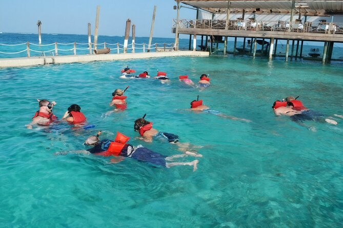 Sharks & Stingrays Snorkeling in Punta Cana with Parasailing - The natural pool brings a party atmosphere