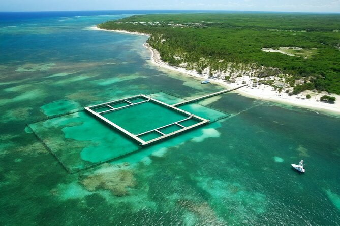 Sharks & Stingrays Snorkeling in Punta Cana with Parasailing - Is $169 a fair price?