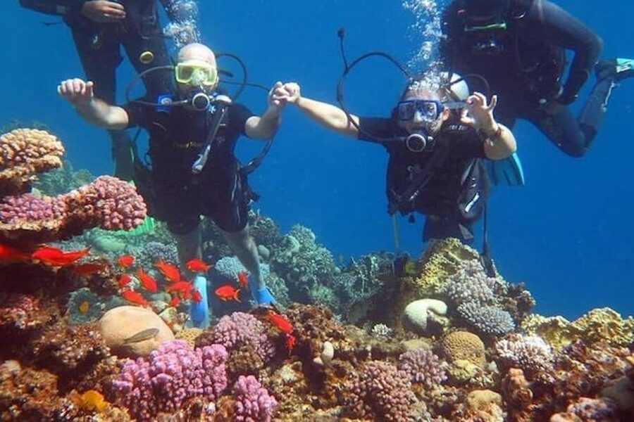 Sharm El-Sheikh: Parasailing, Camel Ride, Dive & Quad Bike - From hotel pickup to the South Sinai desert