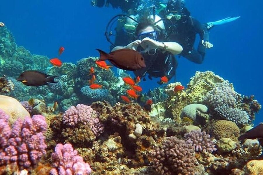 Sharm El-Sheikh: Parasailing, Camel Ride, Dive & Quad Bike - Banana boat and tube rides keep the water section lively