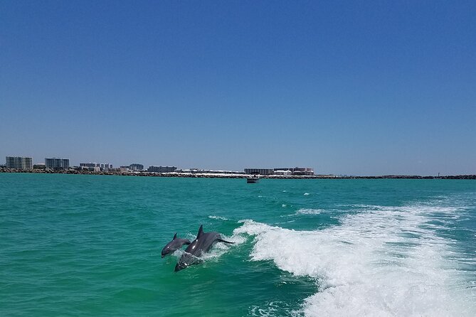 Sky High Parasailing From Marina Cafe - Destin Florida - Gulf Views or a Calmer Bay Route