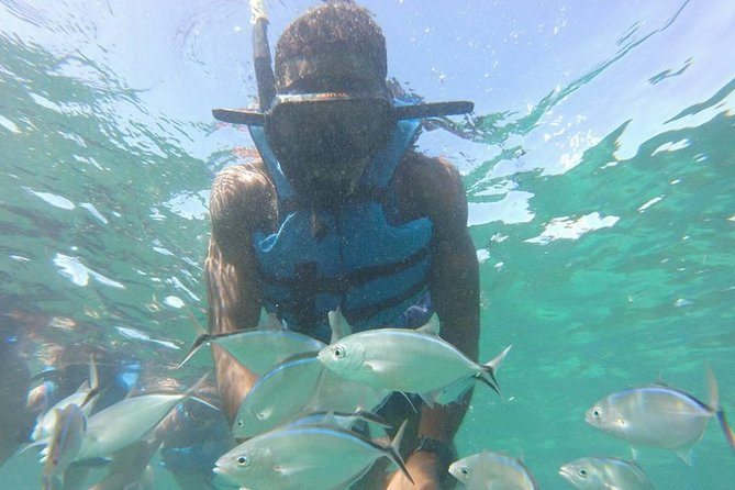 Snorkeling Catamaran Tour & Parasailing - Key points to know before booking