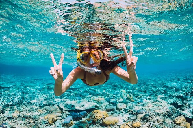 Speed Boat Activity with Snorkeling and Parasailing in Punta Cana - A three-hour route with several moving parts
